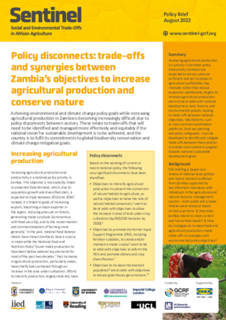 Policy disconnects: trade-offs and synergies between Zambia's